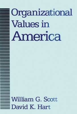 Organizational Values in America (Hardback)