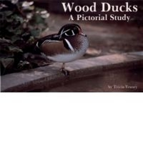 Wood Ducks: A Pictorial Study (Paperback)