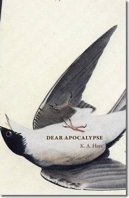 Dear Apocalypse (Paperback)