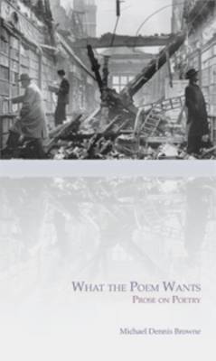 What the Poem Wants (Paperback)