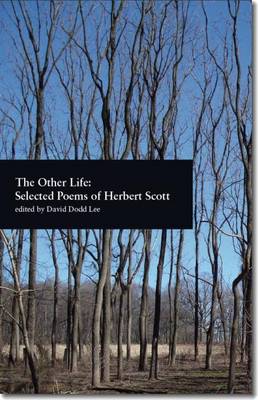 The Other Life (Paperback)