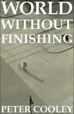 World Without Finishing - Carnegie Mellon Poetry Series (Paperback)