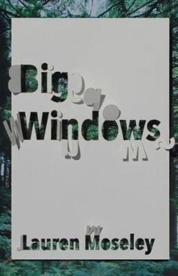 Big Windows - Carnegie Mellon Poetry Series (Paperback)
