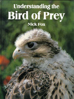 Understanding the Bird of Prey (Hardback)