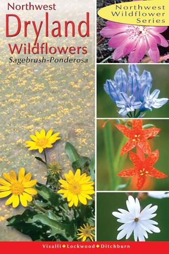 Northwest Dryland Wildflowers: Of the Sagebrush and Ponderosa (Paperback)