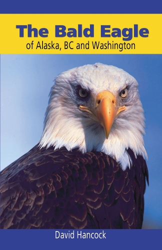Bald Eagle of Alaska, BC and Washington (Paperback)