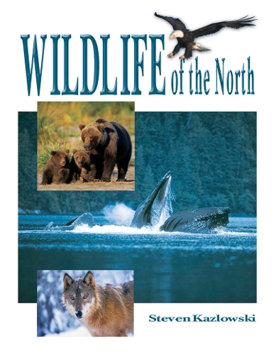 Wildlife of the North (Paperback)