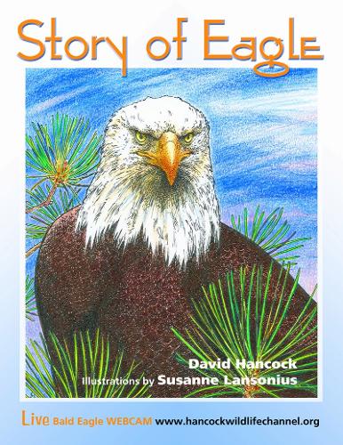 Story of Eagle Activity & Coloring Book (Paperback)