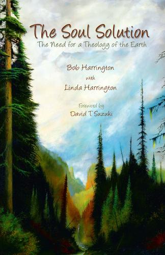 Soul Solution: The need for a theology of the earth (Paperback)