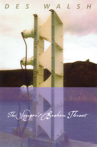 The Singer's Broken Throat (Paperback)