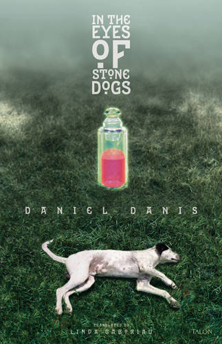 In the Eyes of Stone Dogs (Paperback)