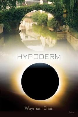 hypoderm: notes to myself (Paperback)