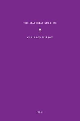 Material Sublime (Paperback)