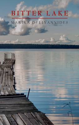 Bitter Lake: A Novel (Paperback)