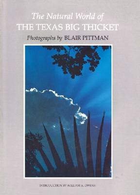Natural World Big Thicket (Paperback)