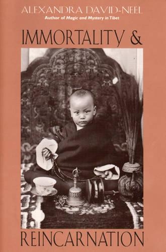 Immortality and Reincarnation: Wisdom from the Forbidden Journey (Paperback)