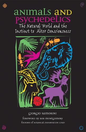 Animals and Psychedelics: The Natural World and its Instinct to Alter Consciousness (Paperback)