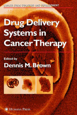 Drug Delivery Systems in Cancer Therapy - Cancer Drug Discovery and Development (Hardback)