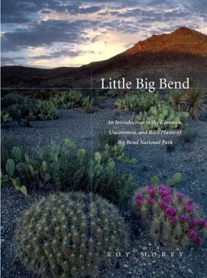 Little Big Bend: Common, Uncommon, and Rare Plants of Big Bend National Park - Grover E. Murray Studies in the American Southwest (Paperback)