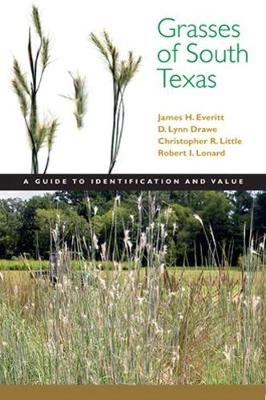 Grasses of South Texas: A Guide to Identification and Value (Paperback)