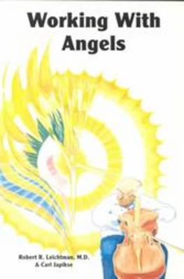 Working with Angels (Paperback)