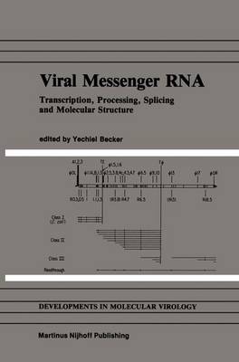 Viral Messenger RNA: Transcription, Processing, Splicing and Molecular Structure - Developments in Molecular Virology 7 (Hardback)