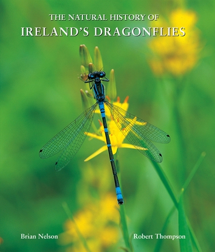 The Natural History of Ireland's Dragonflies (Hardback)