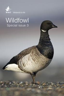 Wildfowl Special Issue 3 - Wildfowl Journal (Paperback)