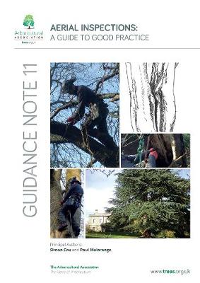 GN11 Aerial Inspections: A Guide to Good Practice - Guidance Notes 11 (Paperback)