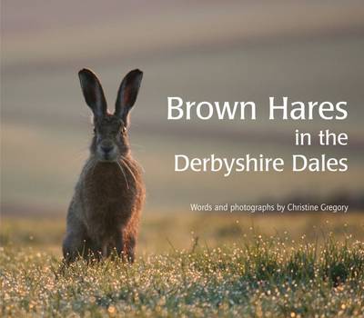 Brown Hares in the Derbyshire Dales (Paperback)