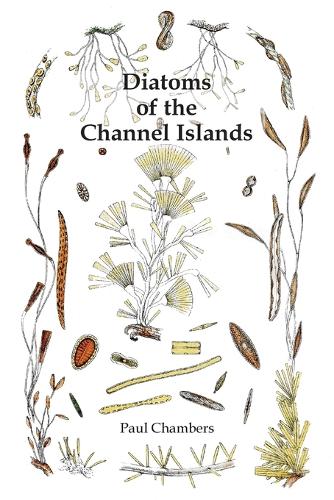 Diatoms of the Channel Islands (Paperback)