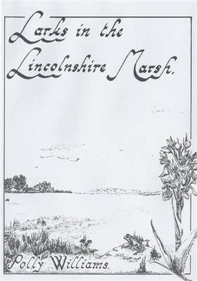 Larks in the Lincolnshire Marsh - Life in Lincolnshire S. (Paperback)