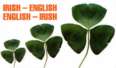 Irish-English, English-Irish Dictionary (Paperback)