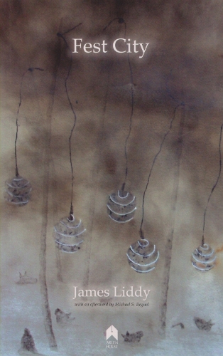 Fest City (Paperback)