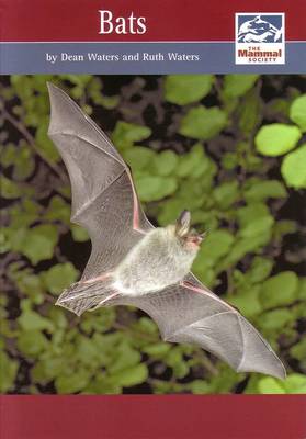 Bats - Mammal Society Species Series (Paperback)