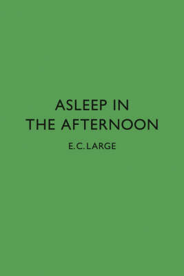 Asleep in the Afternoon (Hardback)