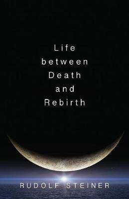 Life Between Death and Rebirth: The Active Connection Between the Living and the Dead (Paperback)