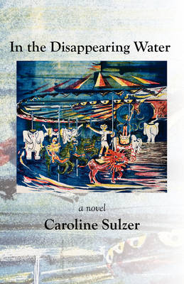 In the Disappearing Water (Paperback)