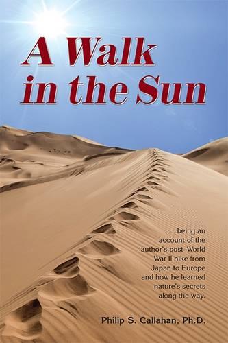 A Walk in the Sun (Paperback)