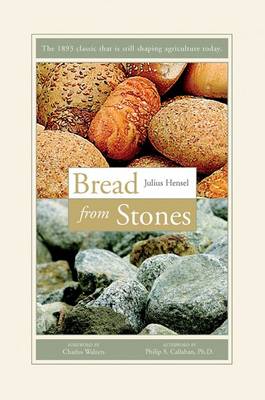 Bread from Stones (Paperback)