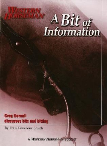 A Bit of Information (Paperback)