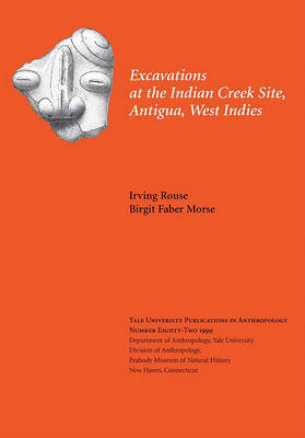 Excavations at the Indian Creek Site, Antigua, West Indies (Hardback)