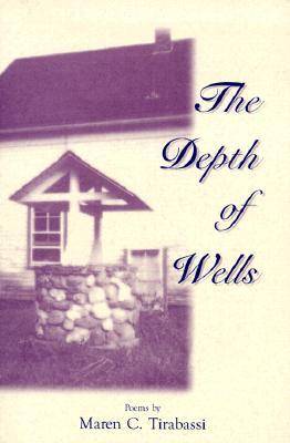 The Depth of Wells: Poems (Paperback)