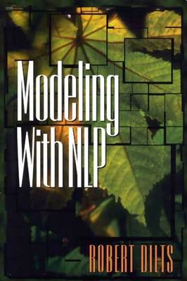 Modeling with NLP (Paperback)