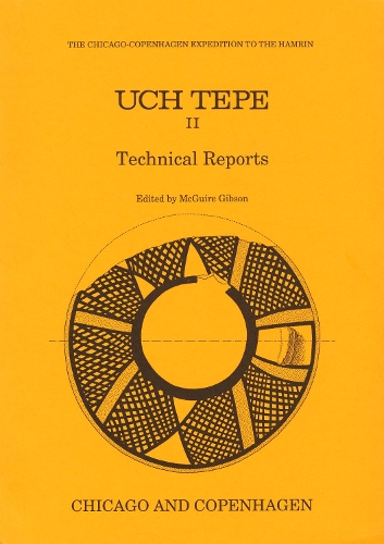 Uch Tepe II: Technical Reports (Paperback)