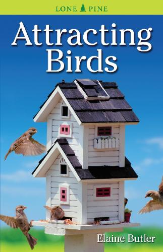 Attracting Birds (Paperback)