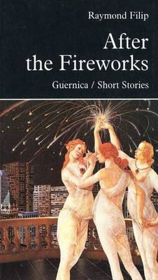 After the Fireworks (Paperback)