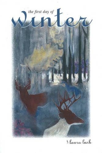 First Day of Winter (Paperback)