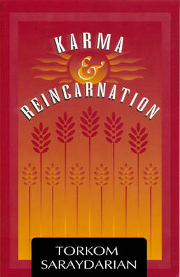 Karma and Reincarnation (Paperback)