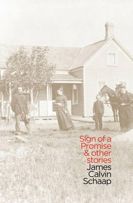 Sign of a Promise and Other Stories (Paperback)
